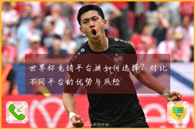 世界杯竞猜平台该如何选择？对比不同平台的优势与风险