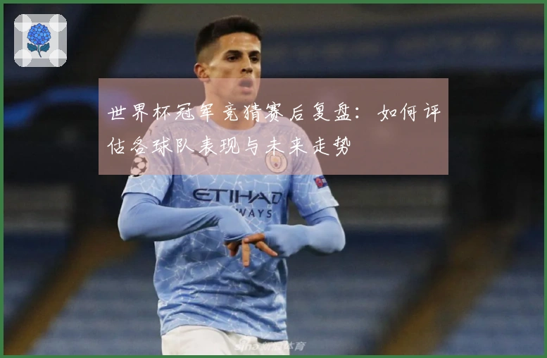 世界杯冠军竞猜赛后复盘:如何评估各球队表现与未来走势
